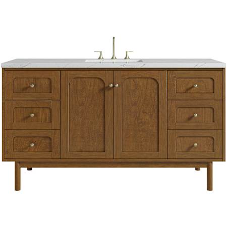 James Martin Vanities Laurent 60" Single Basin Poplar Wood Vanity Set with Stone Composite Top, Rectangular Sink, USB Port(s), and Electrical Outlet(s) Honey Oak