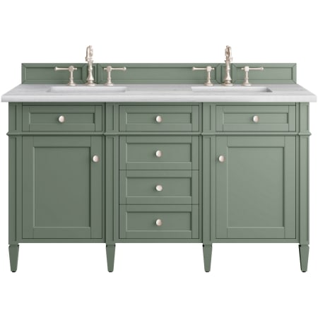 James Martin Vanities Brittany 60" Double Basin Poplar Wood Vanity Set with 3 cm Arctic Fall Solid Surface Vanity Top and Rectangular Sinks Smokey Celadon