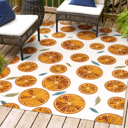 JONATHAN Y Lighting 5' x 8' Polypropylene Citrus Indoor/Outdoor Rectangular Area Rug Orange / Cream