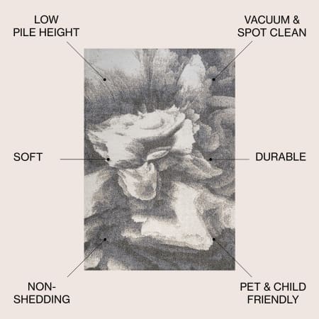 Alternate Image