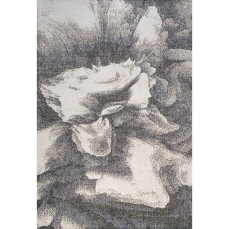 Alternate Image