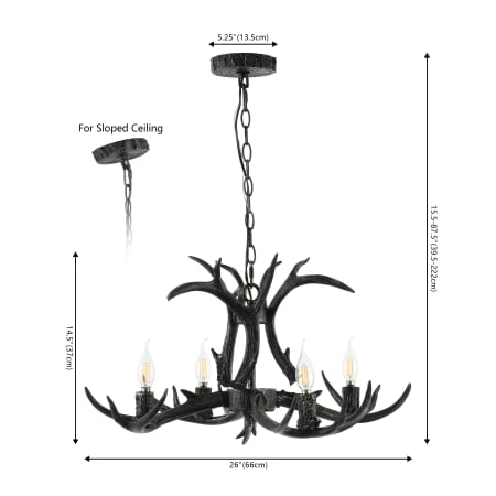 Alternate Image