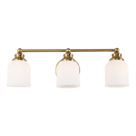 JONATHAN Y Lighting Lydia 3 Light 24" Wide LED Vanity Light Brass Gold
