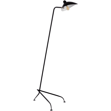 Alternate Image