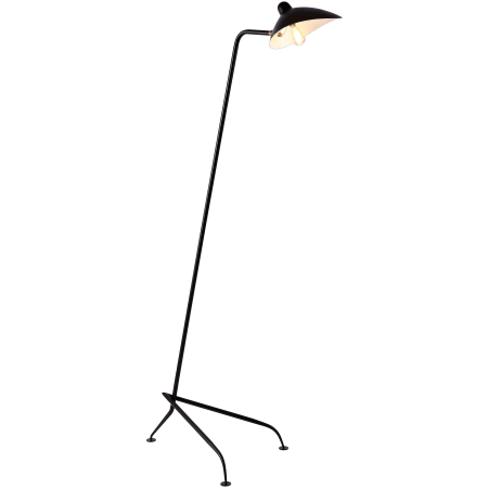 Alternate Image