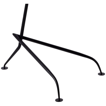 Alternate Image