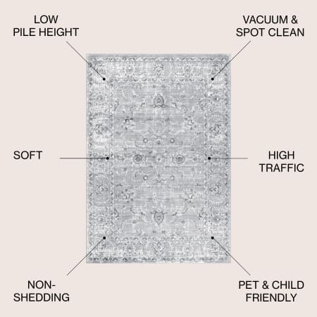 Alternate Image