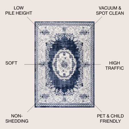 Alternate Image