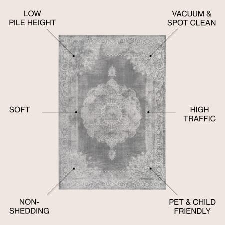 Alternate Image