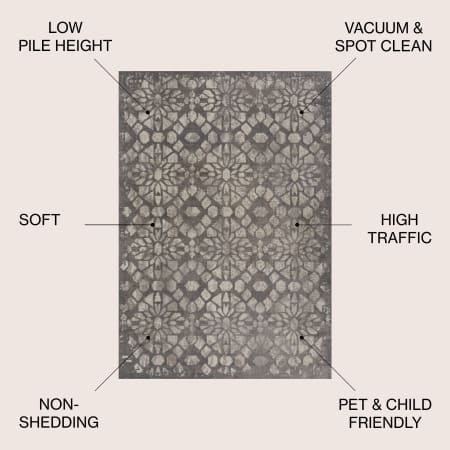 Alternate Image