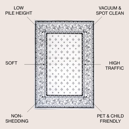 Alternate Image