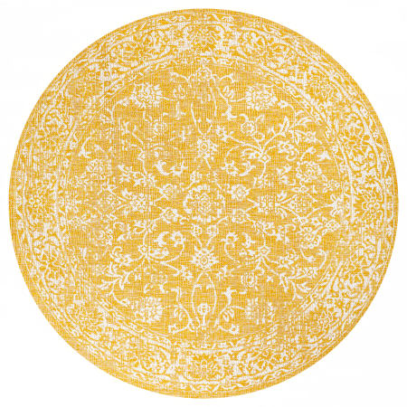 Alternate Image