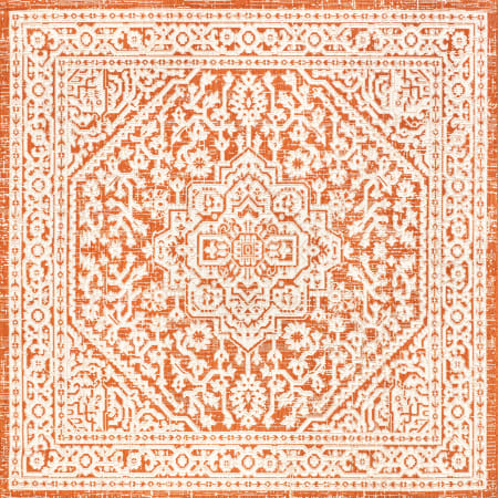 Alternate Image