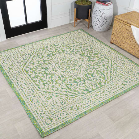 JONATHAN Y Lighting Santa Monica 5-1/4' x 5-1/4' Polypropylene Botanical, Traditional, and Vintage Indoor/Outdoor Area Rug Cream / Green