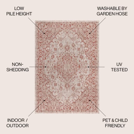 Alternate Image