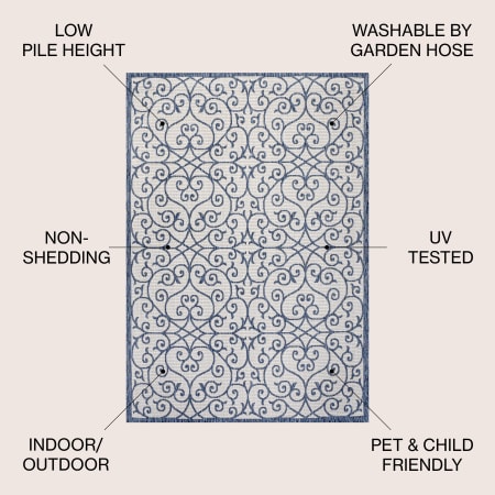 Alternate Image