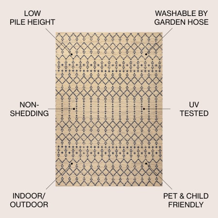 Alternate Image