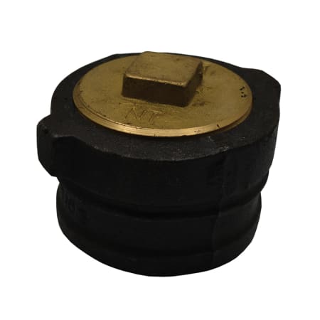 Jones Stephens 3 NH IB Cleanout With 2-1/2 Raised Head PLUG N/A