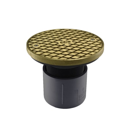 Jones Stephens DRAIN CLEANOUT & RNG N/A