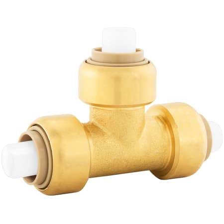Rough Brass