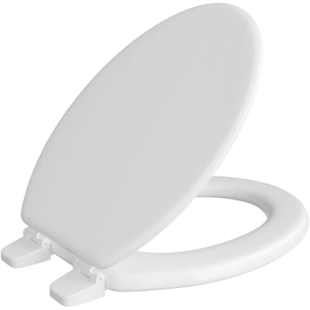 Jones Stephens MOLDED WOOD SEAT UTILITY CFWC ELONGATED WHITE White