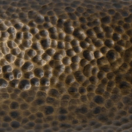 Alternate Image