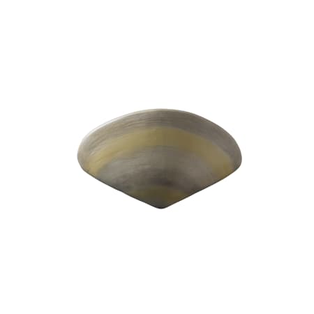 Justice Design Group Ambiance 11.5" Wall Sconce Clam Shell