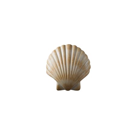 Justice Design Group Ambiance 10.75" ADA Compliant Wall Sconce Scallop Shell