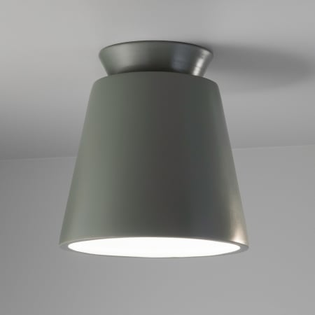 Alternate View