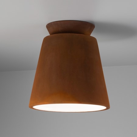 Alternate View