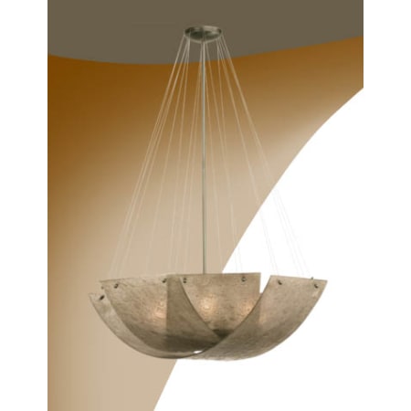 Alternate View
