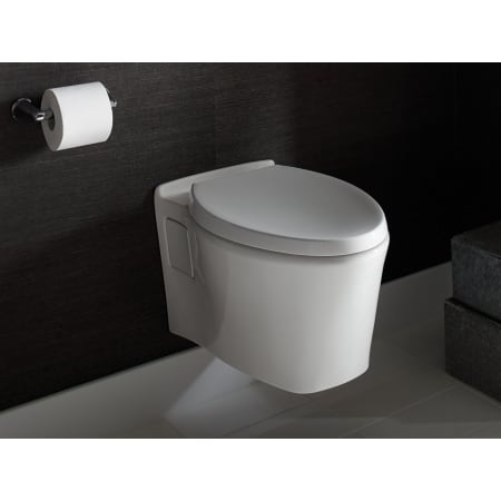 Kallista-P70363-00-Application Side View