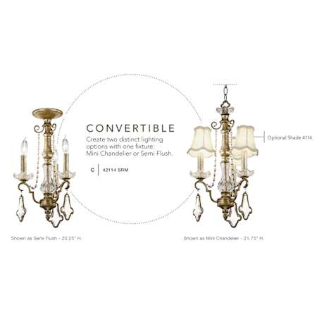 Kichler 42114SRM Convertible Light Fixture