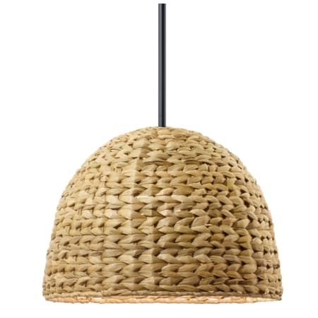 Kichler Raffiana 18" Wide Pendant Black