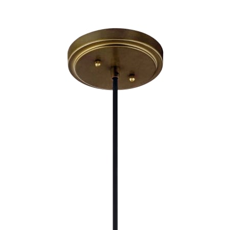 Alternate View