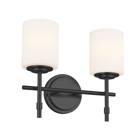 Kichler Ali 2 Light 14" Wide Vanity Light with Frosted Glass Shades Black