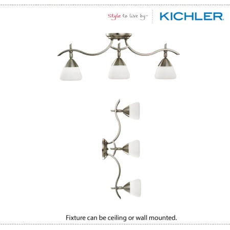 The Kichler 7703 can be wall or ceiling mounted