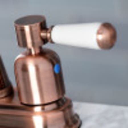 Alternate View