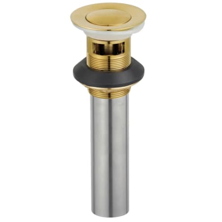 Kingston Brass Complement 1-1/4" Push-Up Drain assembly Brushed Brass