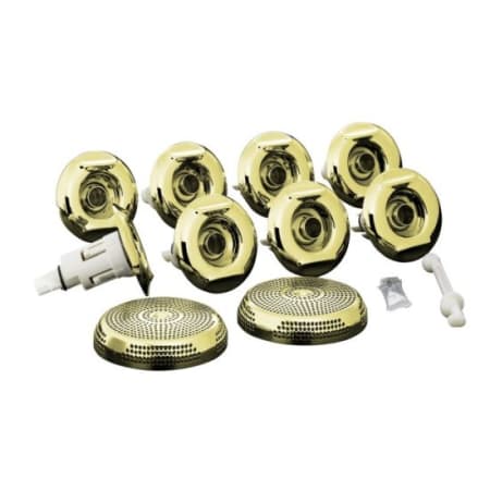 Kohler Metal or Plastic Trim Kit for RiverBath Whirlpool Jets French Gold