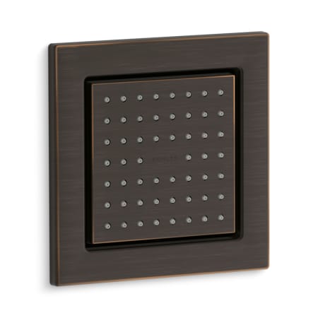 Oil Rubbed Bronze (2BZ)