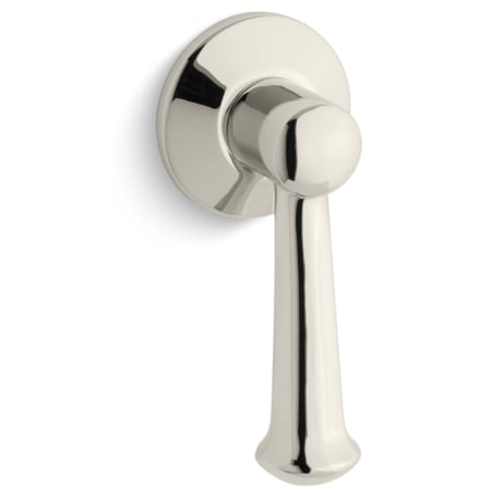 Vibrant Polished Nickel