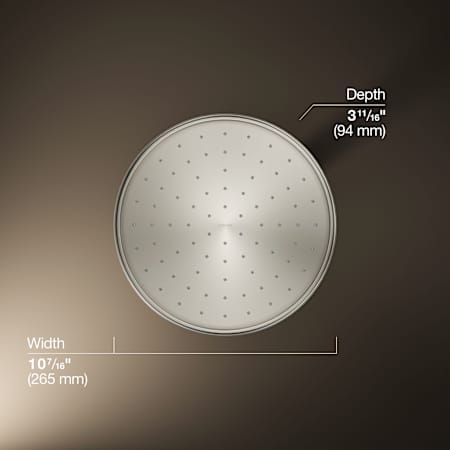 Alternate Image