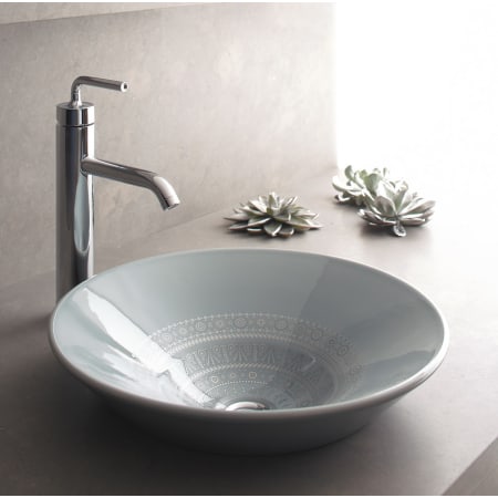 Kohler-K-14223-SR1-Lifestyle Image Top Side View