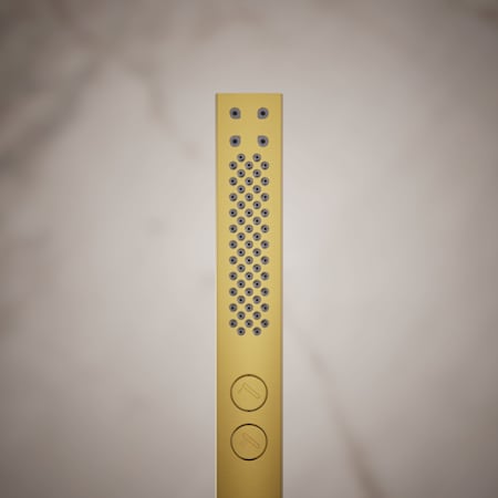 Alternate Image