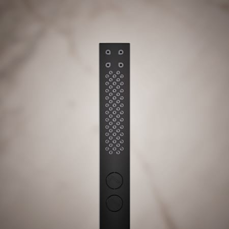 Alternate Image