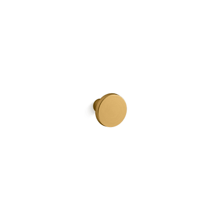 Vibrant Brushed Moderne Brass