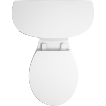 Alternate Image