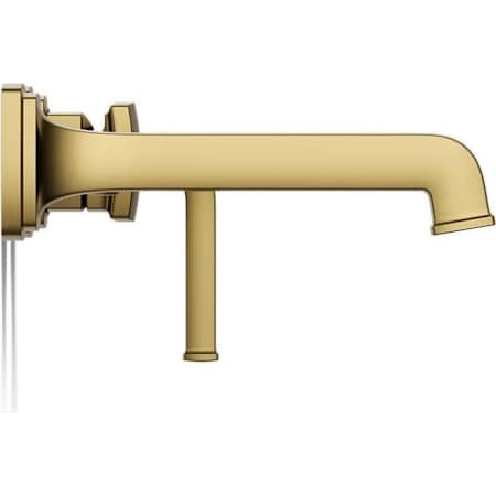 Alternate Image
