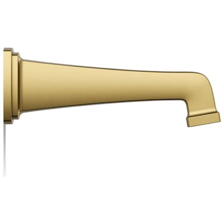 Alternate Image